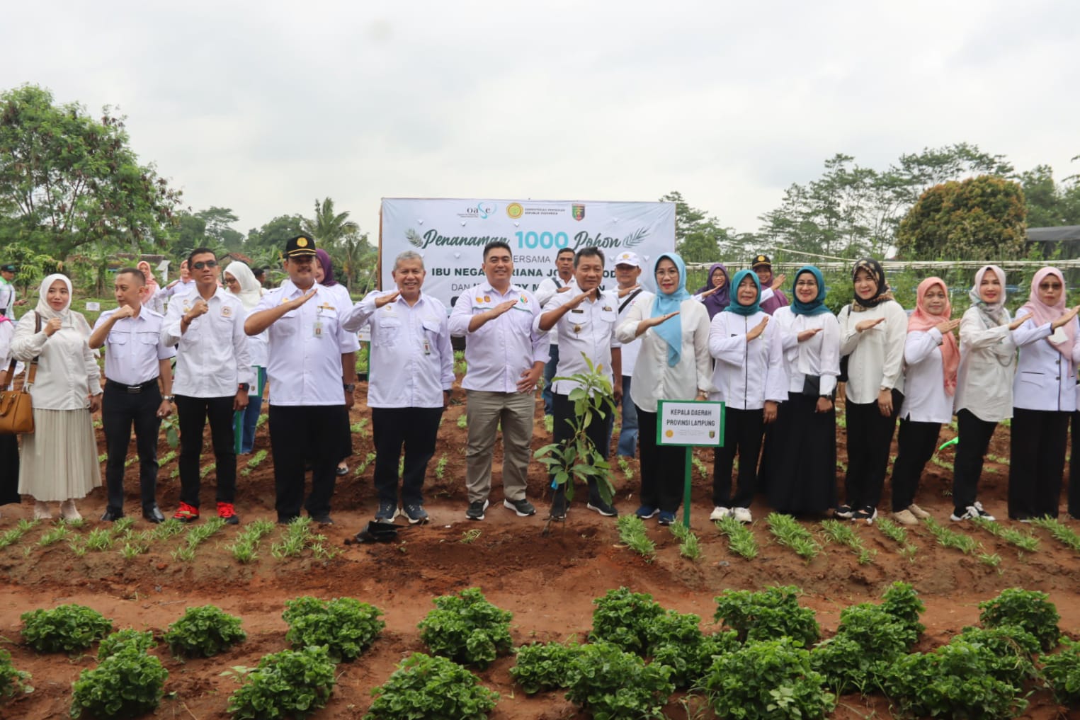 Pemprov Lampung Ikuti Penanaman 1000 Pohon Buah Secara Serentak