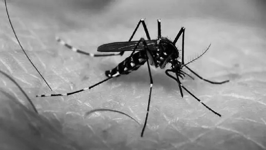 Kota Bandar Lampung Penuhi Tiga Indikator Eliminasi Malaria