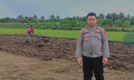 Jalankan Program Ketahanan Pangan, Polsek Cikeudal Manfaatkan Lahan Non Produktif Menjadi Produktif Bagi Petani