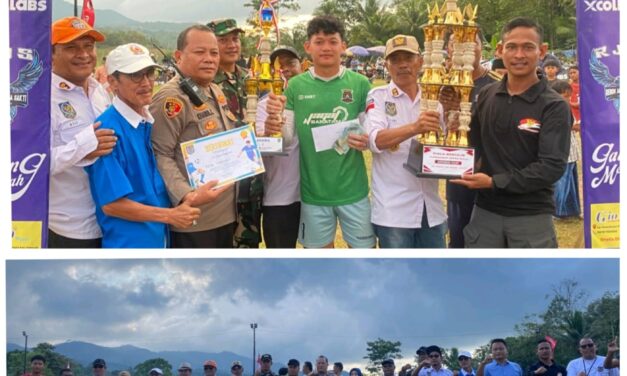 Final Turnamen Sepak Bola Apdesi Cup 2025, Se-kecamatan Mancak Cukup Meriah Buat Para penonton Bersorak gembira.